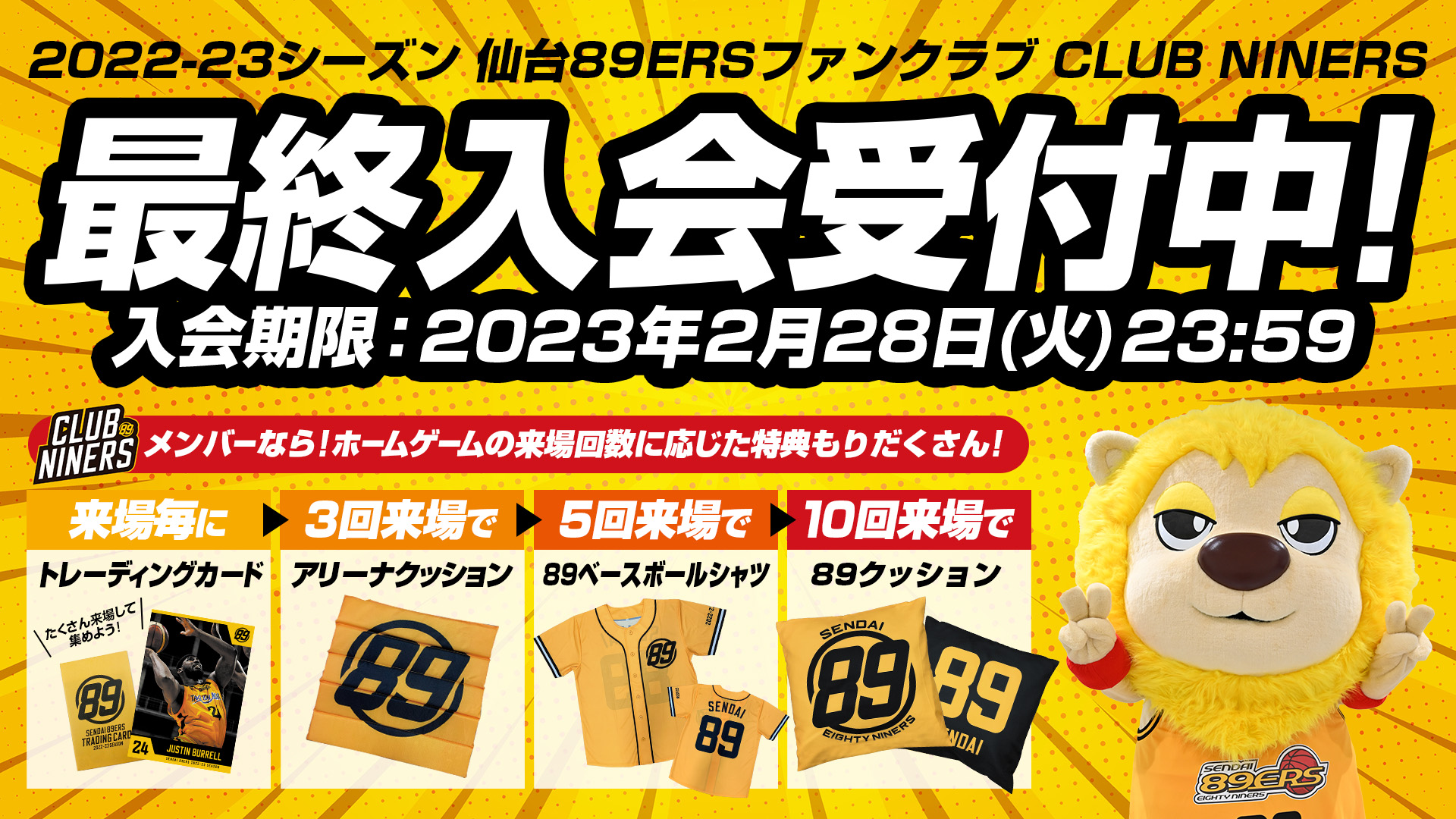 2022-23シーズンCLUB NINERS最終入会受付中! | 仙台89ERS